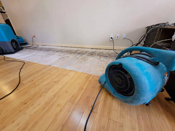 Professional Water Removal technician working in Dorothy, WV